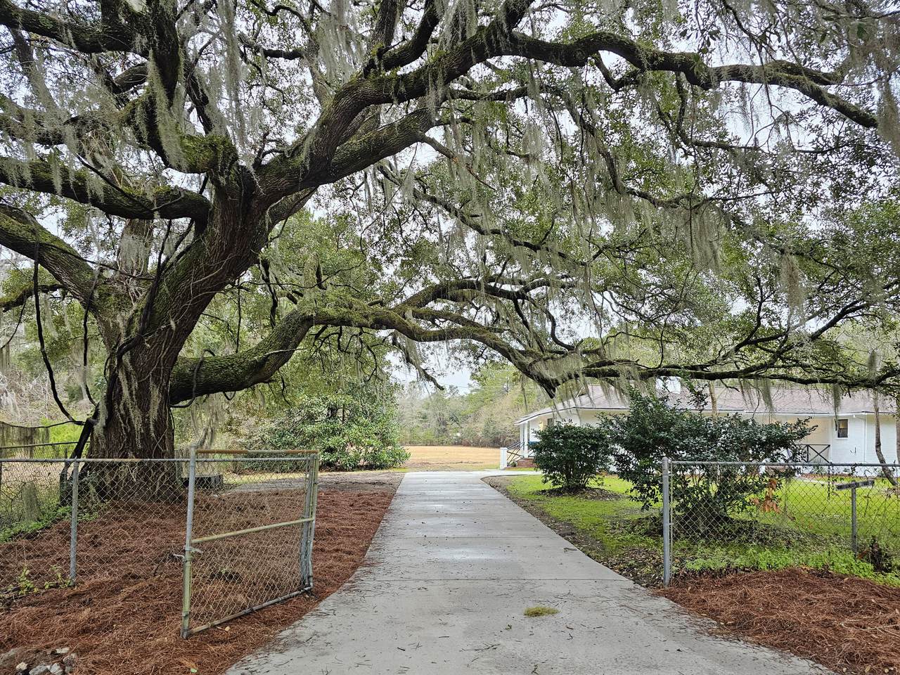 488 Society Road - Photo 1