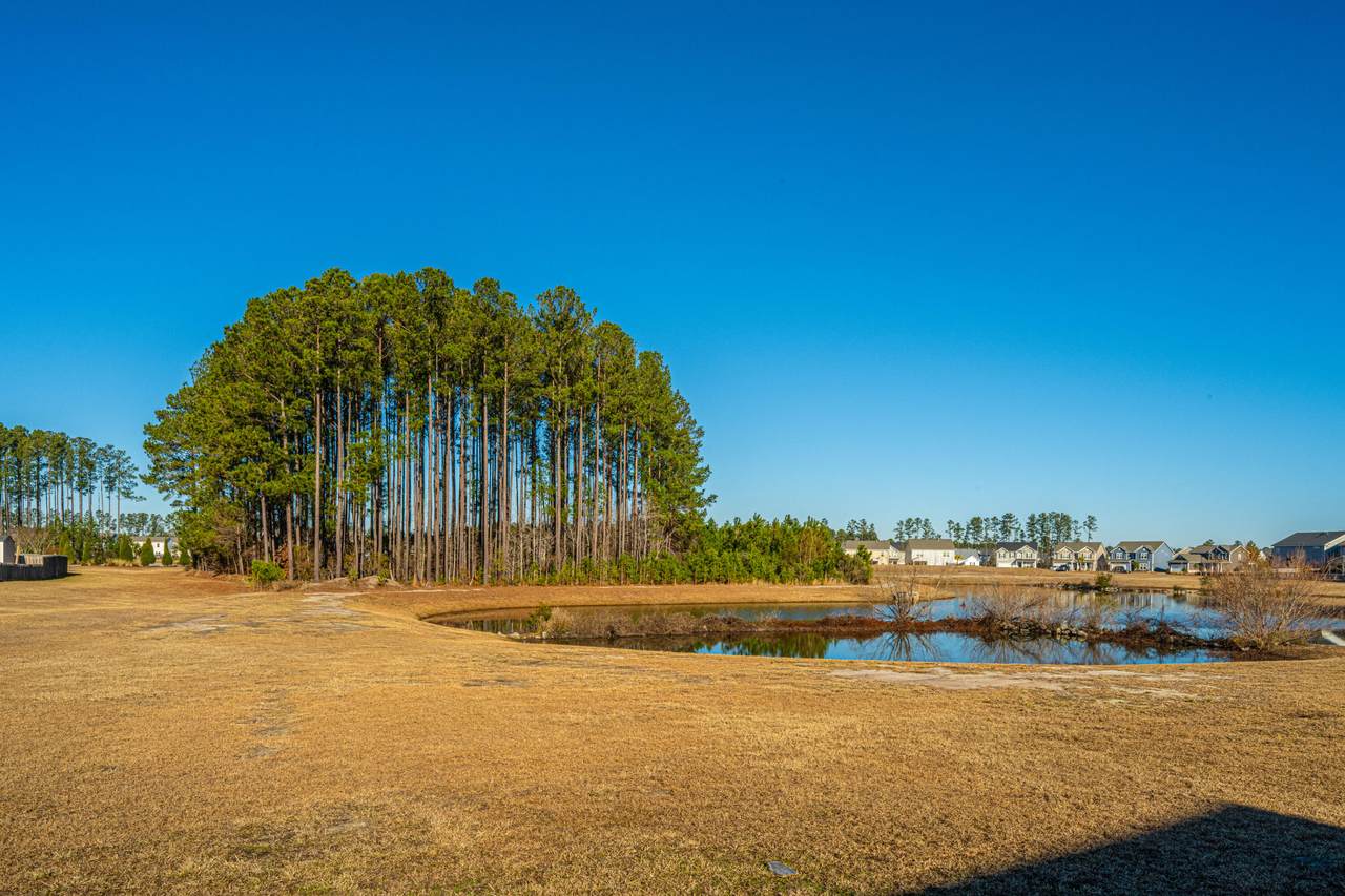https://bt-photos.global.ssl.fastly.net/charleston/1280_boomver_2_25032148-2.jpg