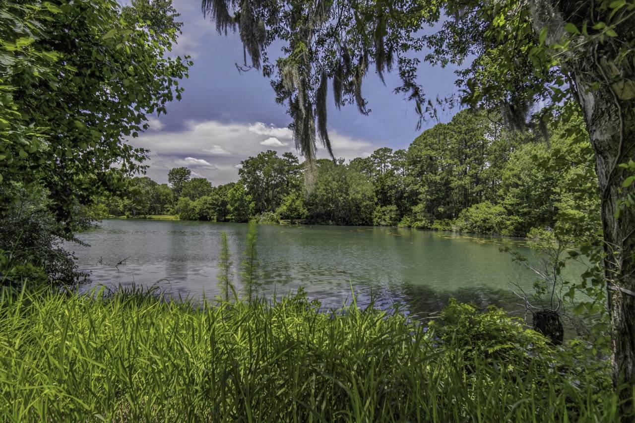 58 Beaver Pond Loop - Photo 1