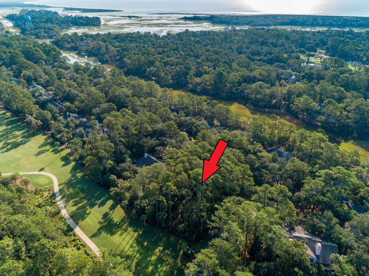 2510 Cat Tail Pond Road - Photo 1
