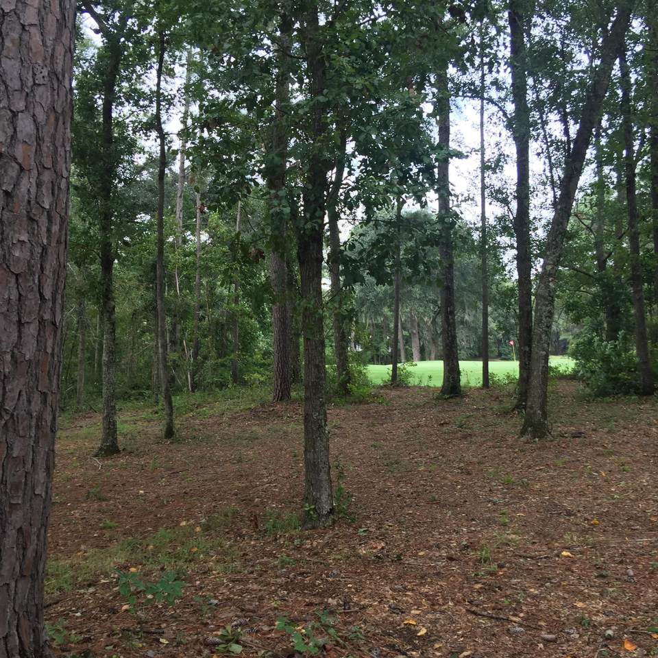 4842 Marshwood Drive - Photo 1