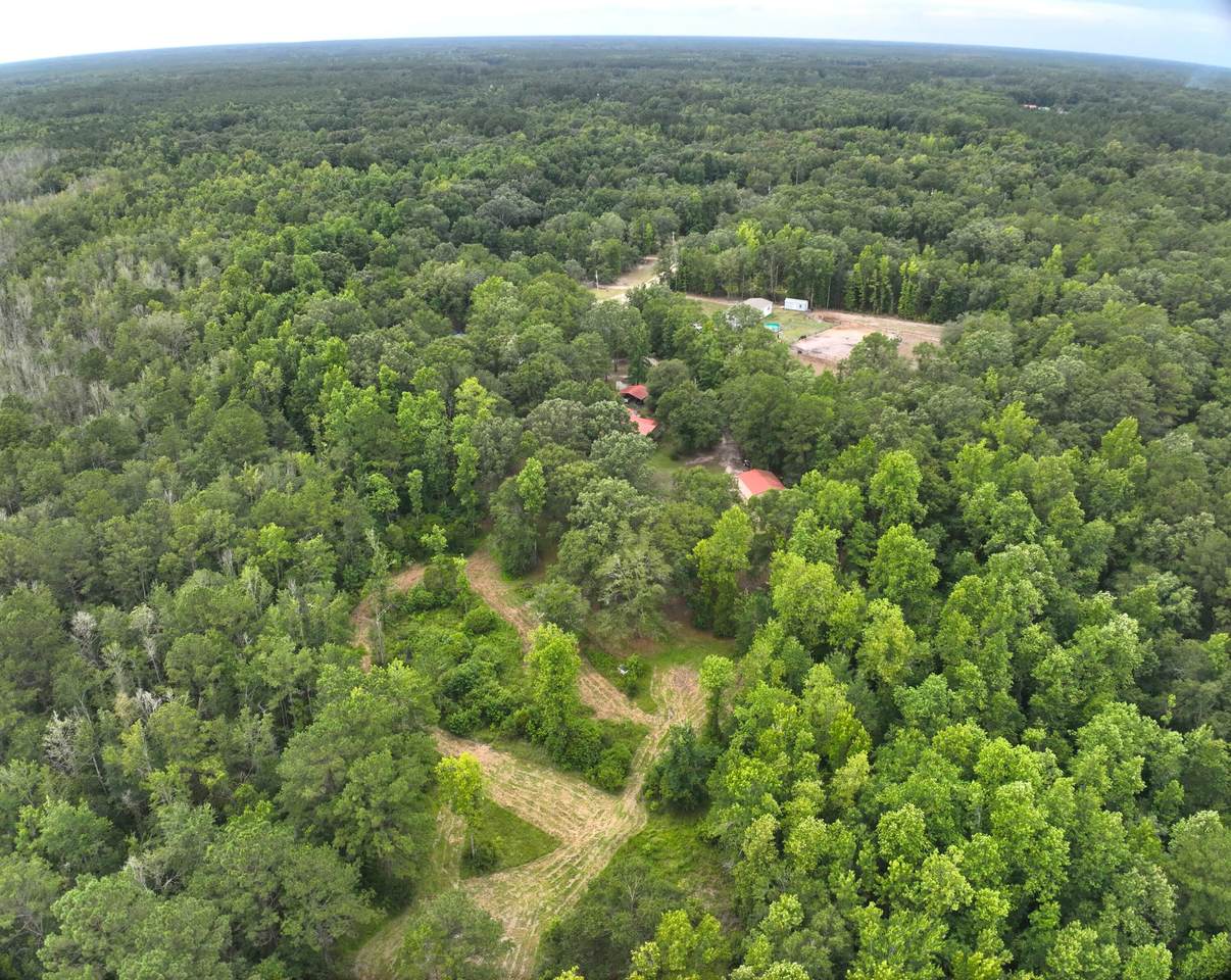 349 Bird Dog Lane - Photo 1