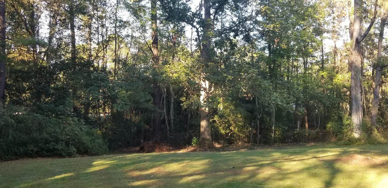 9131 Canvas Lane - Photo 1