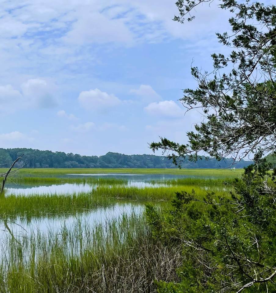 Lot D-2 7743 Toogoodoo Road - Photo 1