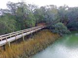 560 Parrot Point Drive - Photo 2