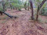 560 Parrot Point Drive - Photo 4