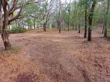 560 Parrot Point Drive - Photo 5