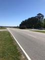 0 Hwy 17 South - Photo 1