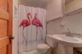 2211 Woodland Shores Road - Photo 13