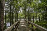 137 Twisted Oak Trail - Photo 3