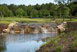 137 Twisted Oak Trail - Photo 4