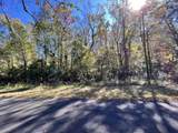 00 Shoofly Road Road - Photo 2