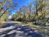 00 Shoofly Road Road - Photo 3
