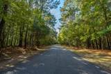 4225 Wild Turkey Way - Photo 16