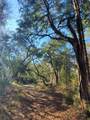 7085 Inman Road - Photo 7