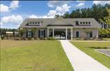 281 Shadybrook Drive - Photo 10