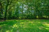 1509 Haystack Drive - Photo 43