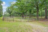 3002 Plow Ground Road - Photo 67