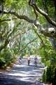 117 High Hammock - Photo 72