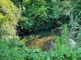 0 Old River Road - Photo 5