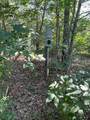 0 Old River Road - Photo 6