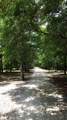 4 Preserve Road - Photo 8