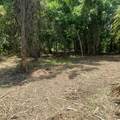 723 Jan Savage Way - Photo 4