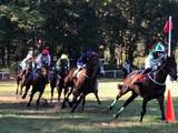 5102 Old York Course - Photo 61