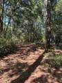 6371 Bears Bluff Road - Photo 1