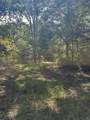 6371 Bears Bluff Road - Photo 5