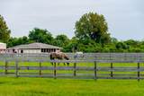547 Cobby Creek Lane - Photo 48