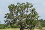 3858 Gnarled Oaks Lane - Photo 21