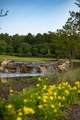 119 Twisted Oak Trail - Photo 58
