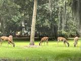 182 High Hammock Villas - Photo 18