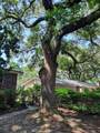 2320 Lander Lane - Photo 45