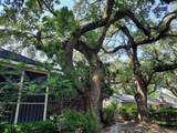 2320 Lander Lane - Photo 46
