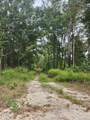 0 Spring Dell  Way - Photo 2