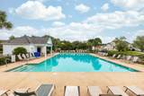 417 Sycamore Shade Street - Photo 17