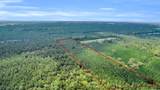 0 Sheep Island Road - Photo 12