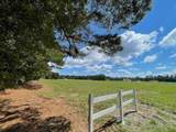 329 Austin Swamp Lane - Photo 4