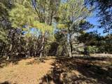 8341 Crooked Creek Lane - Photo 8