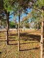 4596 Rustic Street - Photo 24
