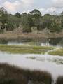 8 Seagrass Lane - Photo 49
