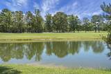 1127 Blue Heron Point - Photo 48