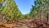 0 Wire Road - Photo 9
