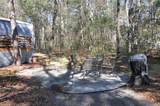 6321 Bears Bluff Road - Photo 3