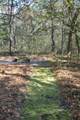 6321 Bears Bluff Road - Photo 30