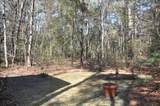 6321 Bears Bluff Road - Photo 34