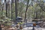 6321 Bears Bluff Road - Photo 4