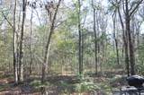 6321 Bears Bluff Road - Photo 5